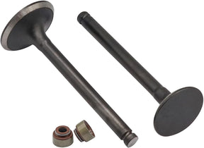 CartClan Engine Intake Exhaust Valve & Seal Kit for Club Car Gas 1992-up DS & Precedent Golf Cart with FE290 Engines OEM#1016447 1016448 80#+180# 1016566