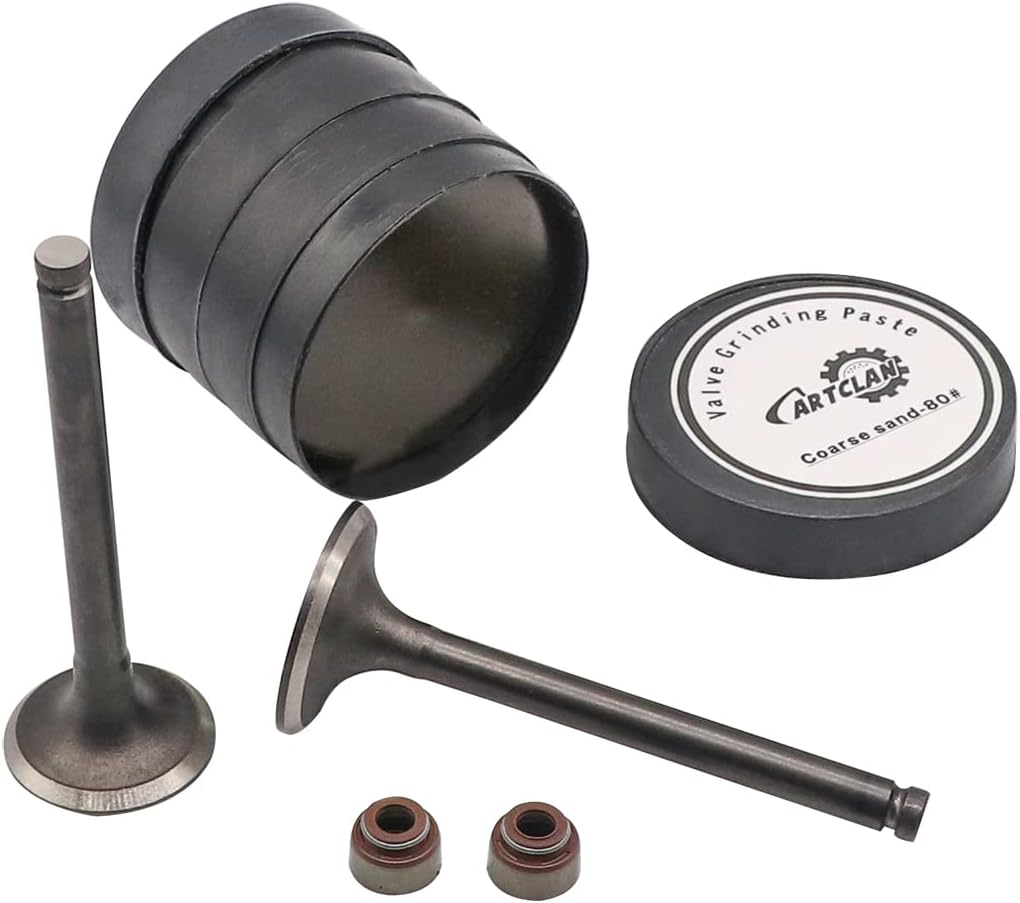 CartClan Engine Intake Exhaust Valve & Seal Kit for Club Car Gas 1992-up DS & Precedent Golf Cart with FE290 Engines OEM#1016447 1016448 80#+180# 1016566