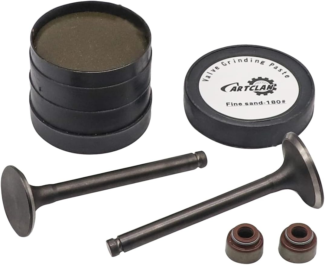 CartClan Engine Intake Exhaust Valve & Seal Kit for Club Car Gas 1992-up DS & Precedent Golf Cart with FE290 Engines OEM#1016447 1016448 80#+180# 1016566