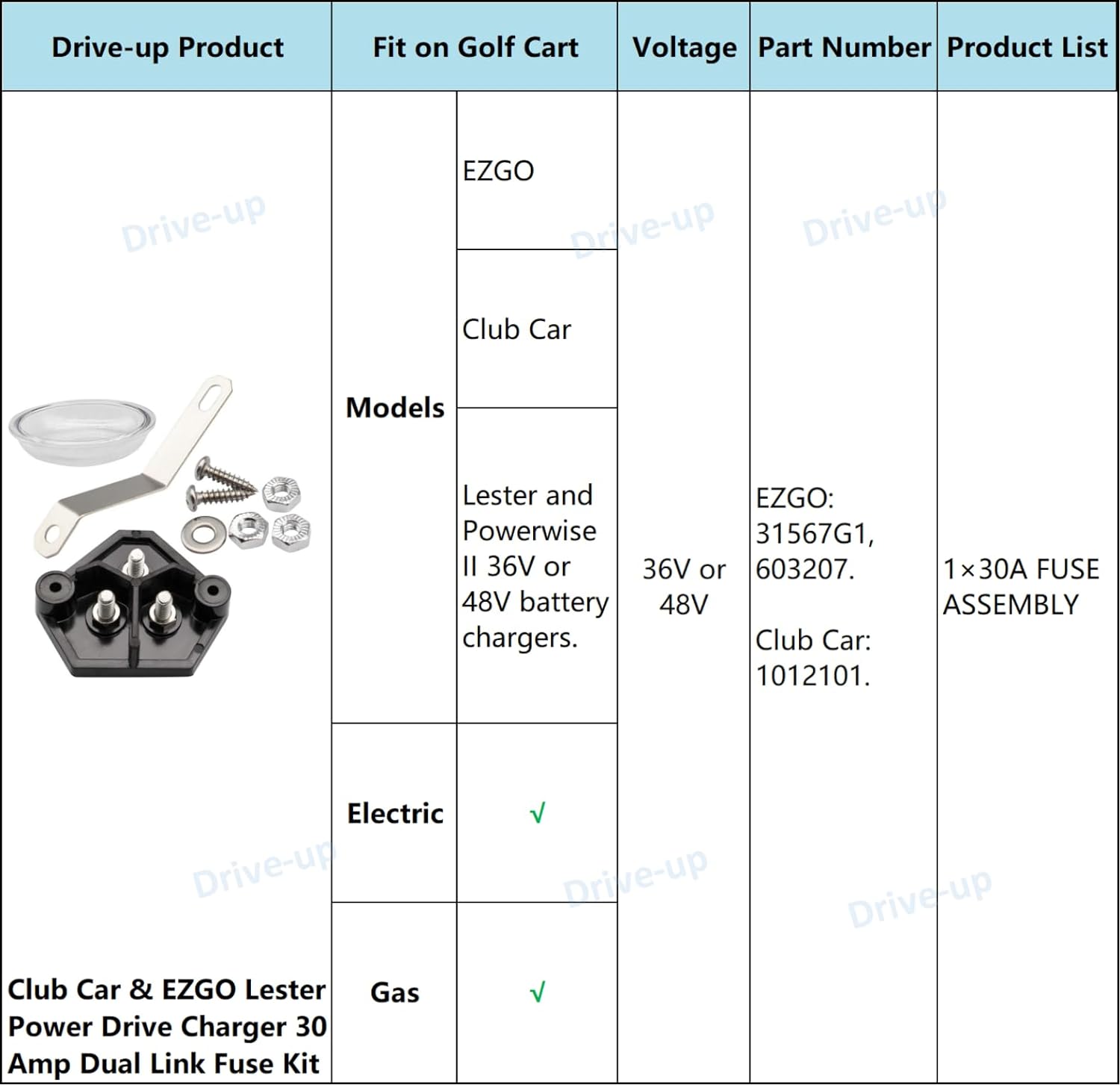 Golf Cart Lester Power Drive Charger 30 Amp Dual Link Fuse Kit Fits Club Car EZGO Models Replaces OEM 1012101, 31567G1, 603207