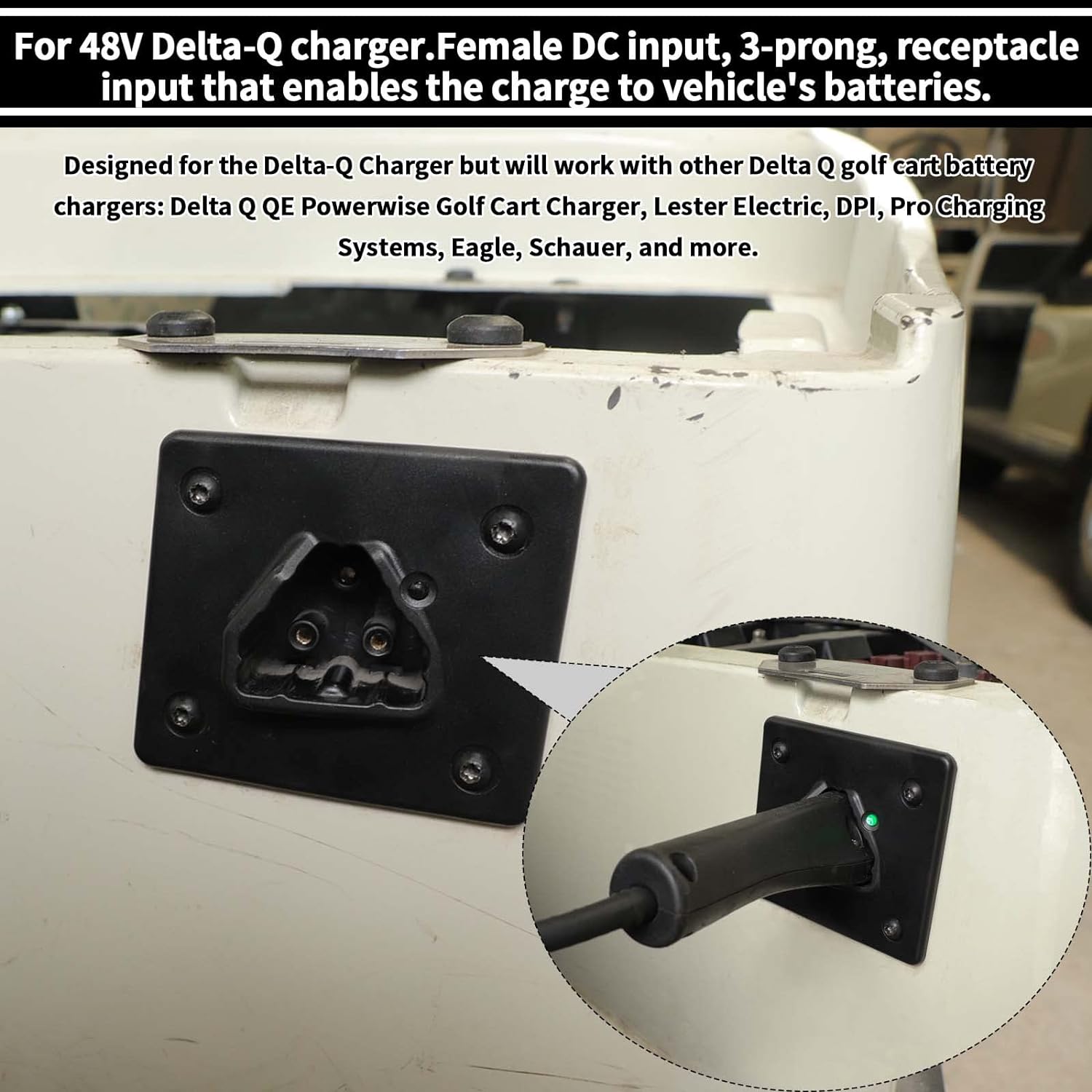 Panglong EZGO RXV 48V Charger Receptacle, Golf Cart Delta-Q Charger with Wires for Golf Cart Electric 2008-up Replace OEM #602529